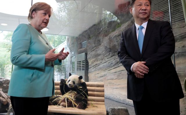 Angela Merkel in Xi Jinping sta pred dvema letoma v Berlinu preizkušala meje »pandovske diplomacije«. Tokratni obisk bo posvečen ustvarjanju konkretnih in ne toliko simboličnih vezi. FOTO: Reuters