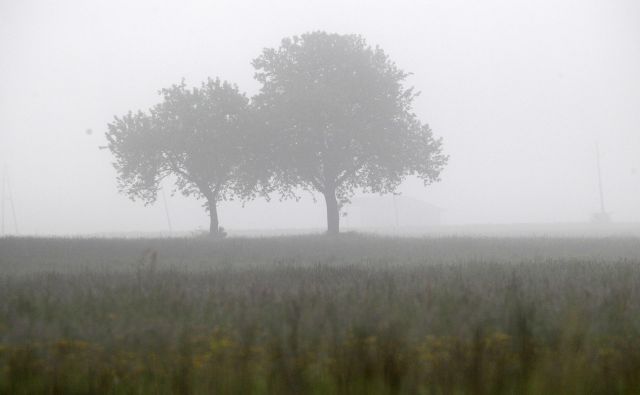 FOTO: Mavric Pivk/Delo