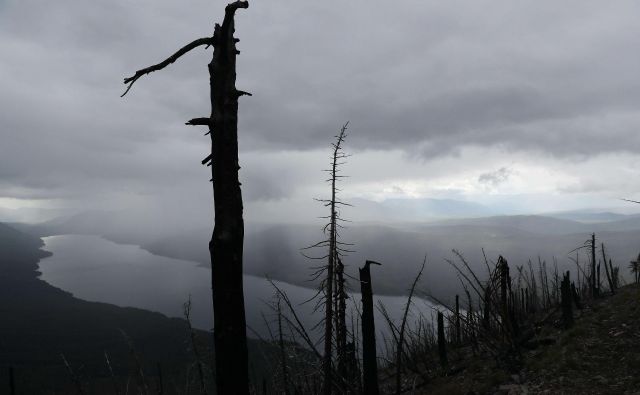 Doseganje ogljične nevtralnosti je eden ključnih ukrepov za preprečitev katastrofalnih dolgoročnih podnebnih sprememb. FOTO: AFP