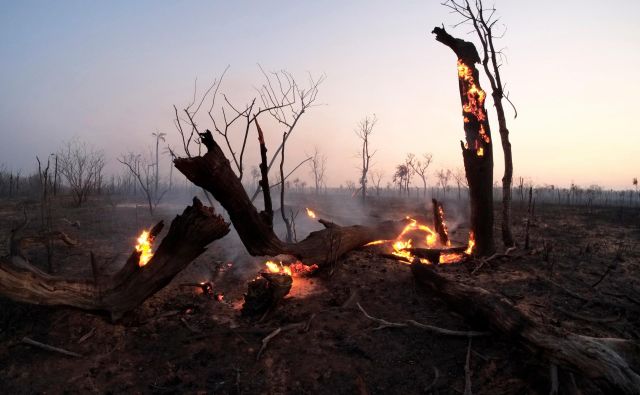 V Boliviji je gozdne požare pomagal pogasiti dež. FOTO: David Mercado/Reuters