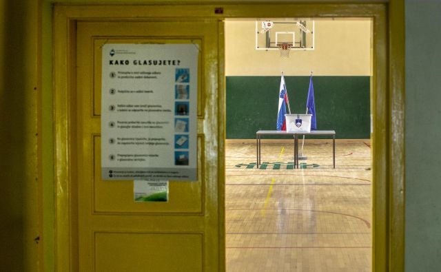 »Določitev volilnega sistema je ena najpomembnejših sestavin politike.« Foto Voranc Vogel