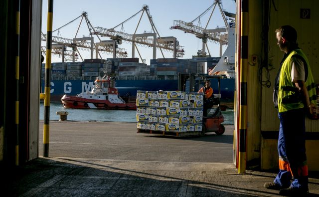 V Luki Koper so samo v zadnjem letu neposredno zaposlili skoraj 500 delavcev in začeli sodelovati z izbranimi kadrovskimi agencijami. FOTO: Voranc Vogel/Delo