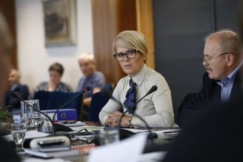 Poleg Karla Erjavca v boj za vrh tudi ministrica Aleksandra Pivec