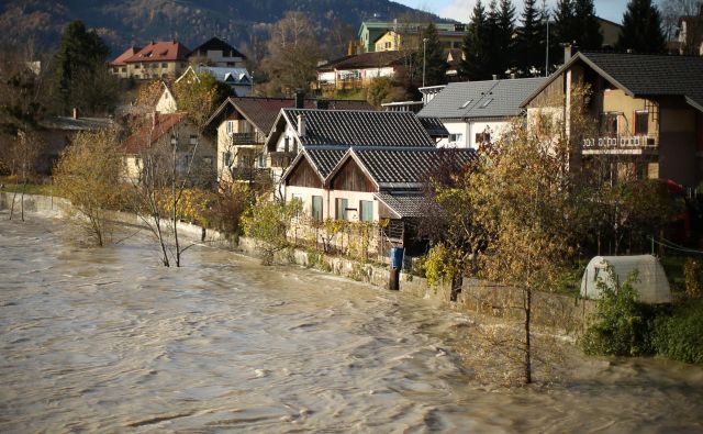 Narasla Drava ob vstopu v Slovenijo pri Dravogradu je ogrožala stanovanjske hiše ob Ribiški poti. FOTO: Jure Eržen
