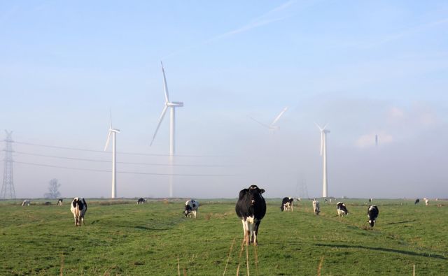 Mnogi menijo, da vetrne elektrarne uničujejo okolje, predvsem z estetskega vidika, pa tudi zaradi ogrožanja številnih vrst ptic in povzročanja hrupa.<br />
FOTO: Barbara Zimic