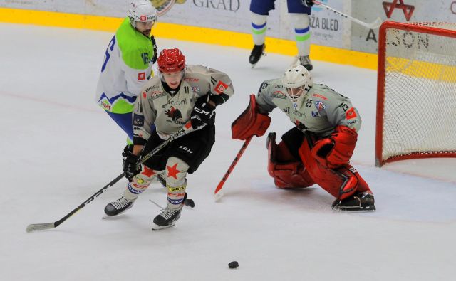 Danes bo v vratih jeseniškega moštva stal mladi Žiga Kogovšek.<br />
FOTO: Jože Suhadolnik/Delo