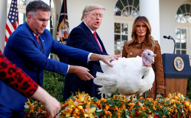 »Maslo, podeljujem ti popolno pomilostitev,« je Trump slovesno sporočil puranu. Takšno srečo je imel samo še Kruh. Foto Reuters