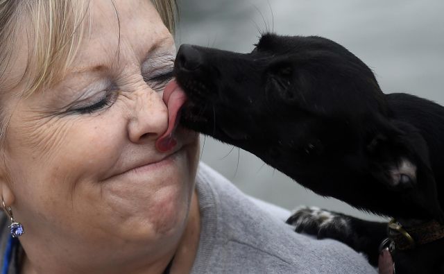 Pasje lizanje utegne postati tudi usodno, opozarjajo zdravniki. Fotografija je simbolična. FOTO: Clodagh Kilcoyne/Reuters