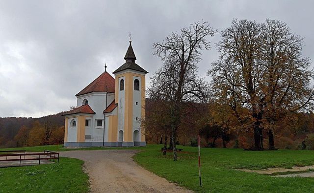 Na Lanšperžu bodo obogatili in nadgradili programe s parkom medovitih rastlin. Foto Lapego