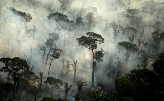 Požar v amazonskem pragozdu blizu mesta Porto Velho FOTO: Reuters