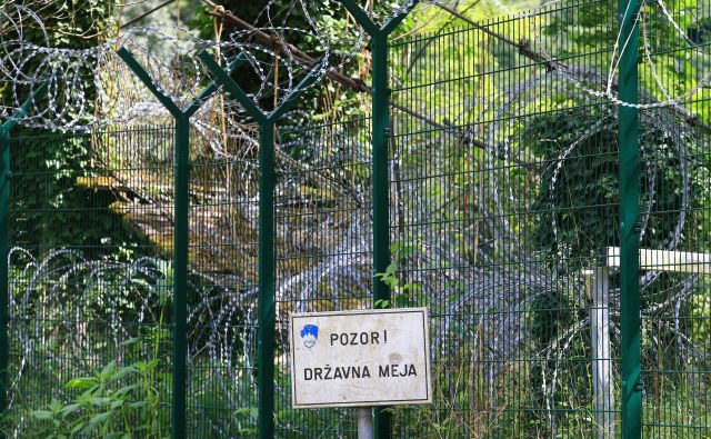 Po mnenju višjih sodnikov je tihotapca vodila koristoljubnost. FOTO: Tomi Lombar