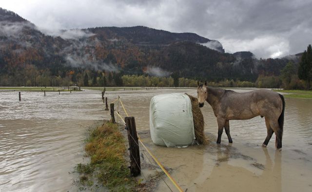 Poplave uničijo pridelek hitreje kot suša, oboje pa se krepi. FOTO: Leon Vidic/Delo