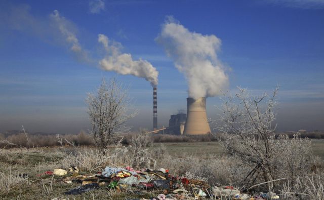 Emisije je treba zmanjšati, s sajenjem dreves in drugimi naravnimi načini zajemanja ogljika teh zavez ne smemo zmanjševati. FOTO: Hazir Reka/Reuters