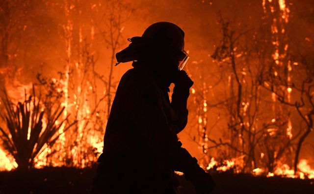 Gozdni požari v državi sicer niso redkost, ampak so po oceni znanstvenikov letos razmere precej hujše, kar bi lahko pripisali podnebnim spremembam. FOTO: Stringer/Reuters