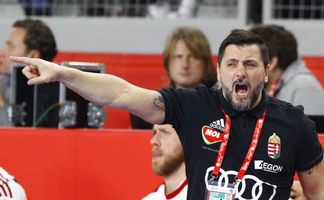 Ljubomir Vranješ je že vodil Srbijo in Madžarsko. FOTO: Reuters