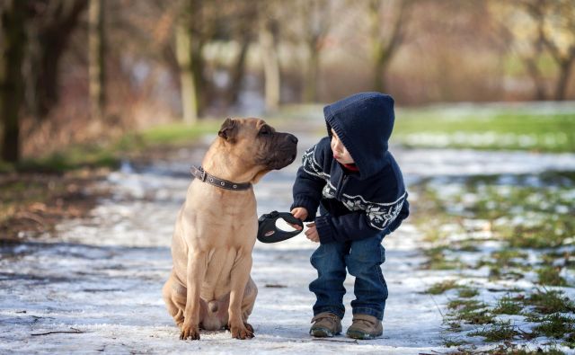 Zdaj se trese dojenčkova gora, vprašanje pa je, ali se iz tega sploh lahko rodi miš. FOTO: Shutterstock