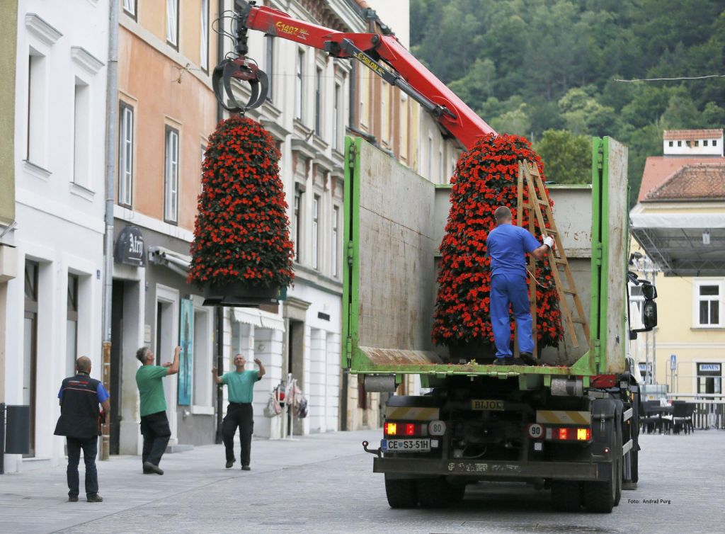 Nočejo na novi občinski zavod