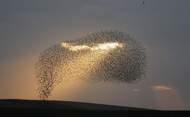 FOTO: Menahem Kahana/AFP