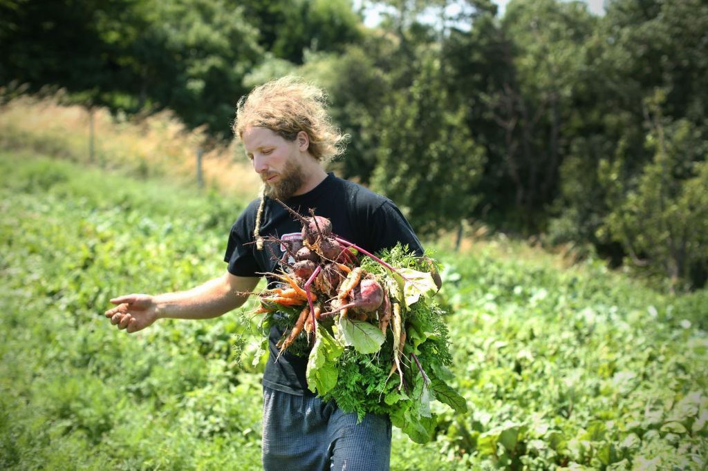 Strategija za kmetijstvo z manj pesticidi