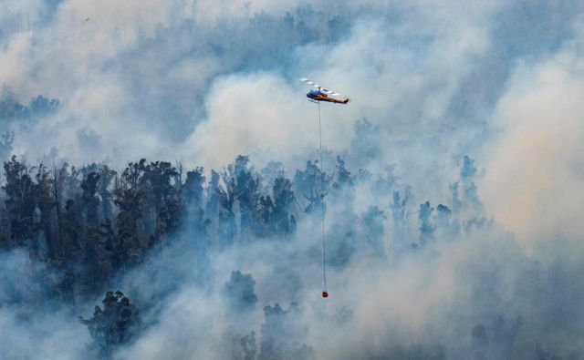 Požari v Avstraliji so »premiera« pred katastrofami, ki bodo nova normalnost segrevajočega se planeta. FOTO: AFP