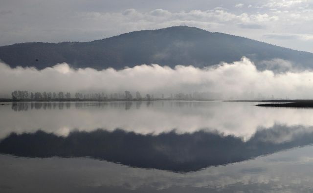 Postavimo lahko zelo verjetno domnevo, da bi zanimanje za paliativo med tistimi, ki so zanjo odgovorni, opazno upadlo, če bi razprava o končanju pojenjala. FOTO: Mavric Pivk