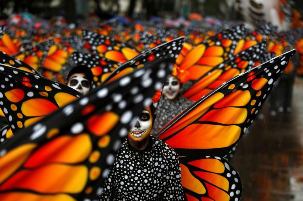 FOTO:V Mehiki našli truplo že drugega zaščitnika metuljev monarhov