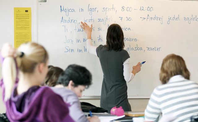 Bližina obeh slovanskih jezikov, slovenskega in srbskega, je pri učenju hkrati prednost in past. FOTO: Matej Družnik/Delo