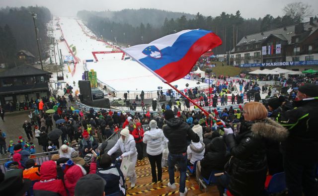 Usoda 56. Zlate lisice še ni znana. FOTO: Tadej Regent