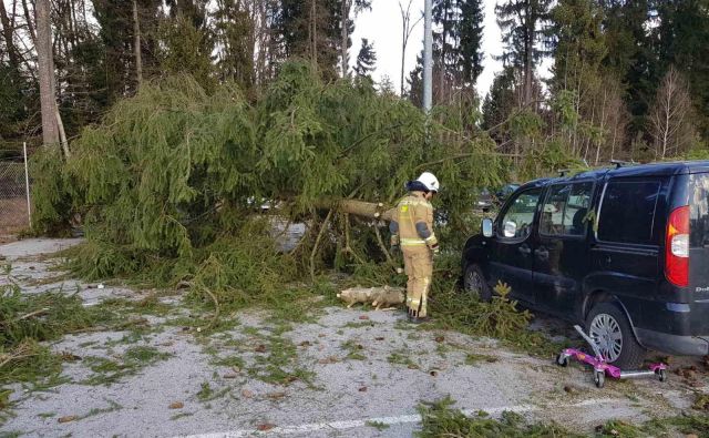 Odstrajevanje posledic neurja v Kranju in okolici. FOTO: PU Kranj