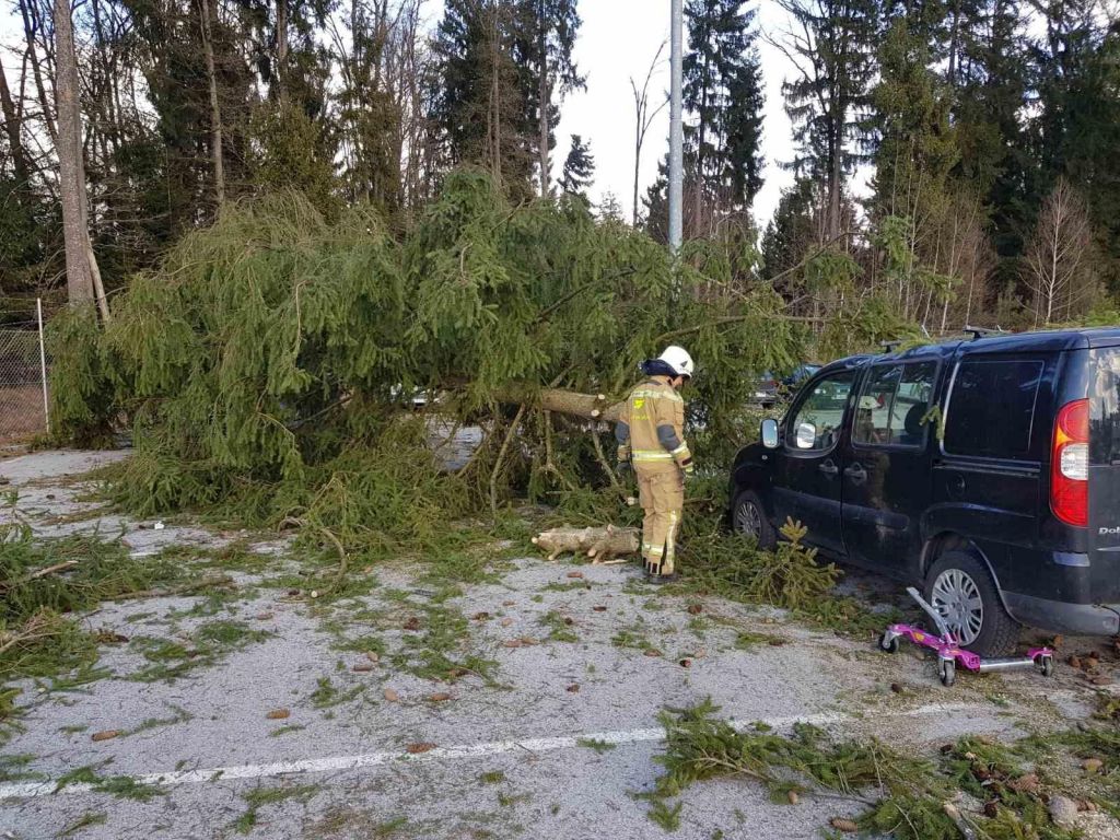 Po sredinem neurju zdaj na delu krovci in gozdni delavci