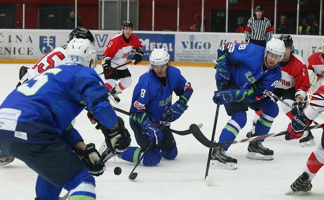 Slovenski hokejisti so z odliko izkoristili prednost domačega ledu na turnirju predkvalifikacij za uvrstitev na zimske olimpijske igre leta 2022 v Pekingu. FOTO: Jože Suhadolnik/Delo