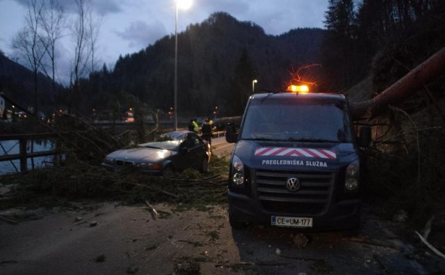 Pri Podvelki je veter izruval večje drevo, ki je padlo na osebno vozilo 52-letnega voznika, domačina, ki je vozil iz smeri Dravograda proti Mariboru. FOTO: PU Celje