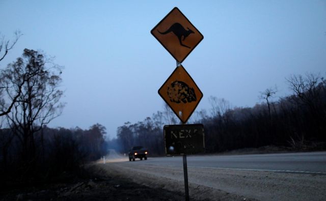 Najbolj prizadeta pokrajina od požarov je Novi Južni Wales. FOTO: Andrew Kelly/Reuters