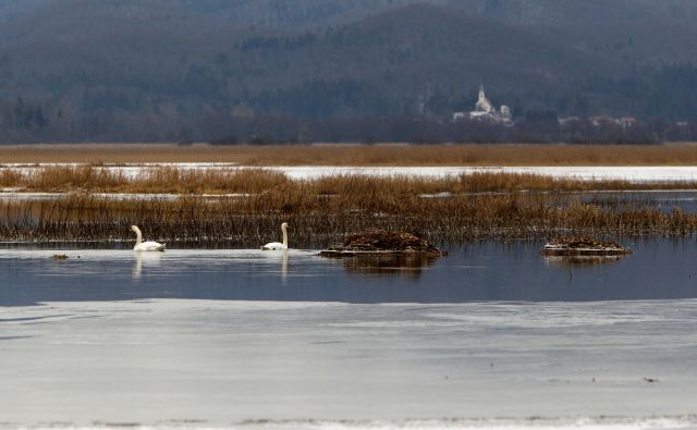 Ko je Cerkniško jezero polno, je največje jezero pri nas. FoOTO: Igor Modic