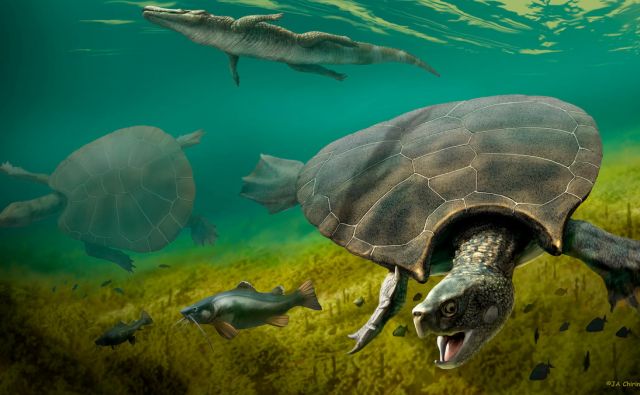 Na ilustraciji je prikazana ogromna izumrla sladkovodna želva <em>Stupendemys geographicus</em>, ki je v dobi miocena živela v jezerih in rekah na severnem območju današnje Južne Amerike. FOTO: J.a. Chirinos/Reuters