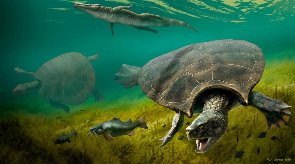 Odkrili fosil kot avtomobil velike želve