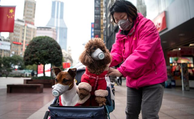 Ali bodo višje temperature pripomogle k izginotju virusa, kot se je zgodilo s sarsom, za zdaj ni znano. FOTO: AFP