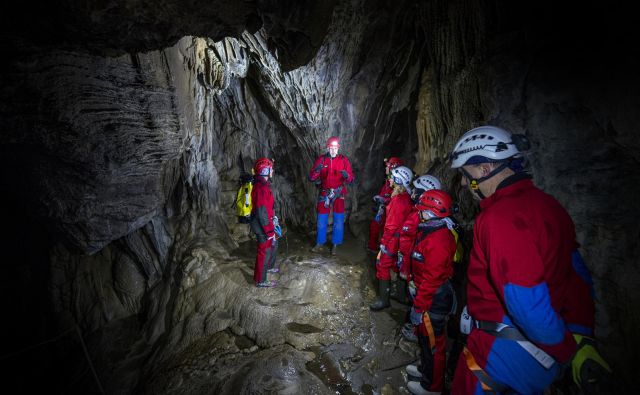 V Deževni jami raste siga s hitrostjo en centimeter na trideset let; povprečje je en centimeter na sto let. FOTO: Borut Lozej