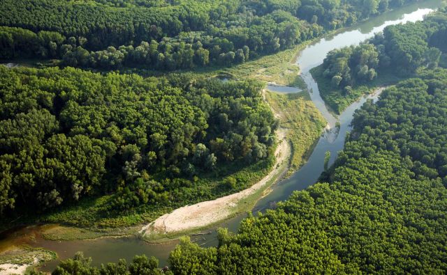 Čez donavska mokrišča vodi znana avstrijska planinska pot 07, dolga je 720 kilometrov. FOTO: Franz Kovacs