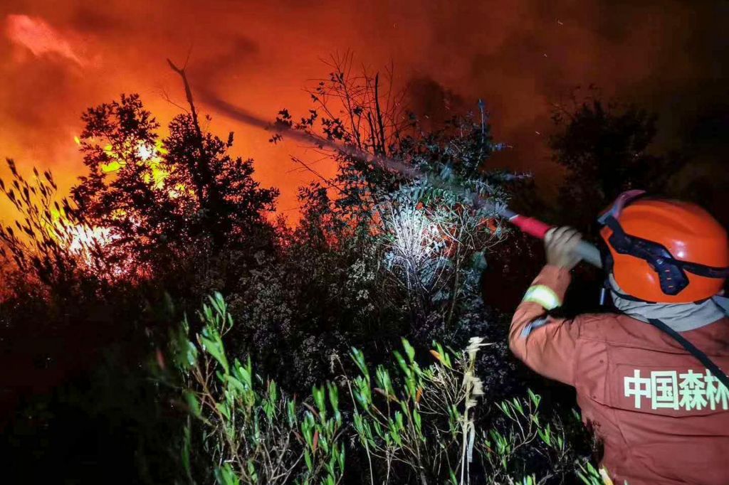 V gozdnem požaru umrlo osemnajst gasilcev in vodič