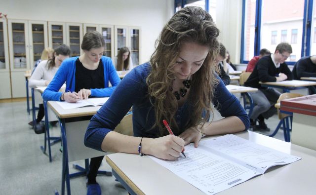 V vseh šolah se zdaj ukvarjajo še z vprašanjem ocenjevanja, pri maturi pa je bolj ali manj znano le, da bo. FOTO: Leon Vidic/Delo