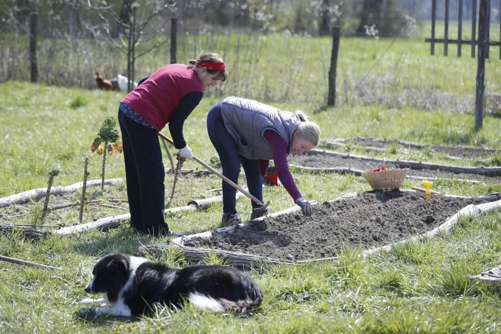 Čas vrtičkanja in samopreskrbe