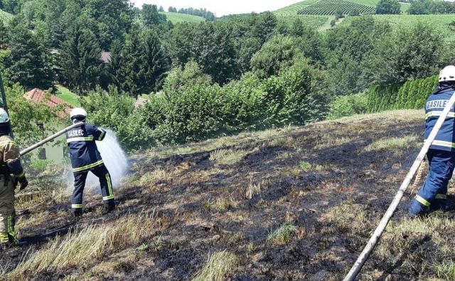 Gasilci so imeli čez konec tedna veliko dela s požari v naravi. Slika je simbolična. FOTO: Oste Bakal