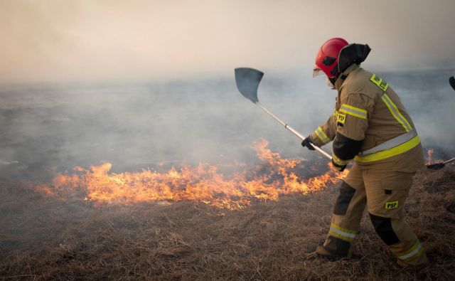 Nekaj sto gasilcev poskuša pogasiti obširen požar v narodnem parku Biebrza na Poljskem. FOTO: Grzegorz Dabrowski/Agencja Gazeta via Reuters