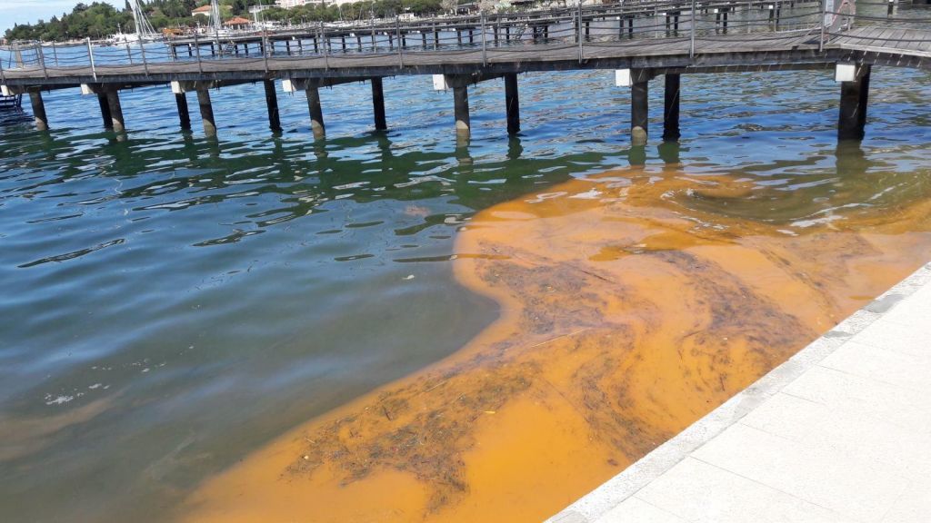 Oranžno morje, ki se iskri, ni onesnaženo
