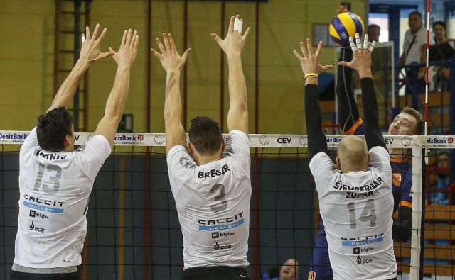 Odbojkarje Calcita bo poslej vodil Gregor Jerončič. FOTO: Voranc Vogel/Delo
