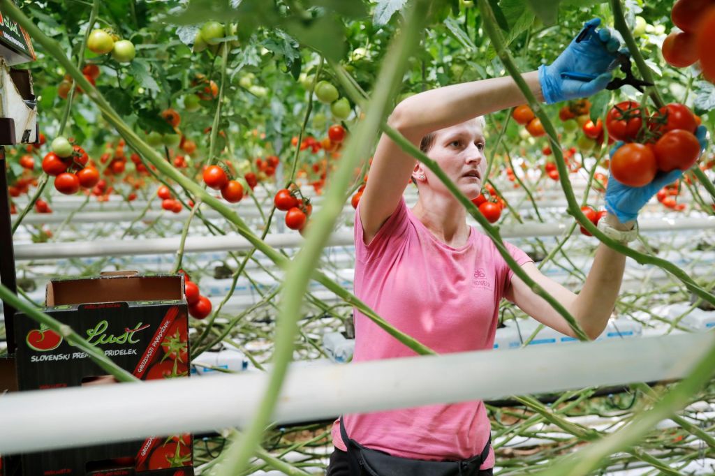 FOTO:Geotermalna energija lahko pomaga pri samooskrbi