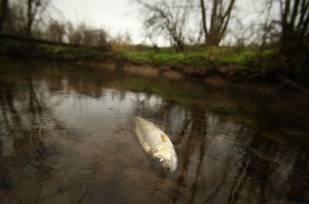 FOTO:Vojna napoved ohranjanju narave