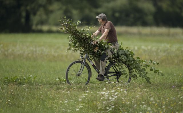 Z naravo delimo  moč svojega imunskega sistema in tudi svojo odpornost pred silami in mikrobi, ki skrbijo za recikliranje narave.Foto Leon Vidic