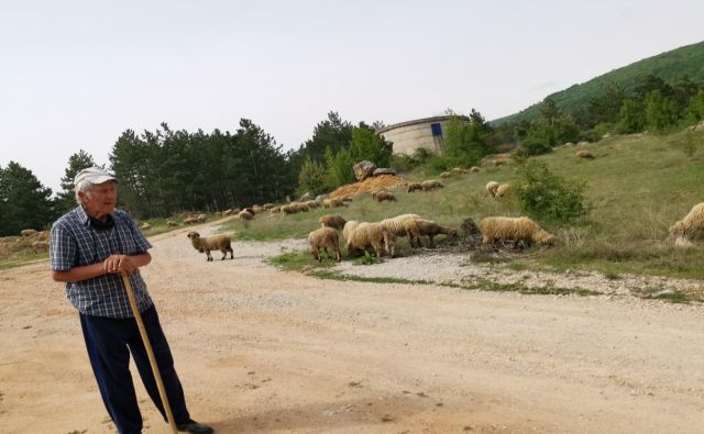 Stanimir Stančić na Stari planini: Mladi so šli, nočejo pasti ovac. 